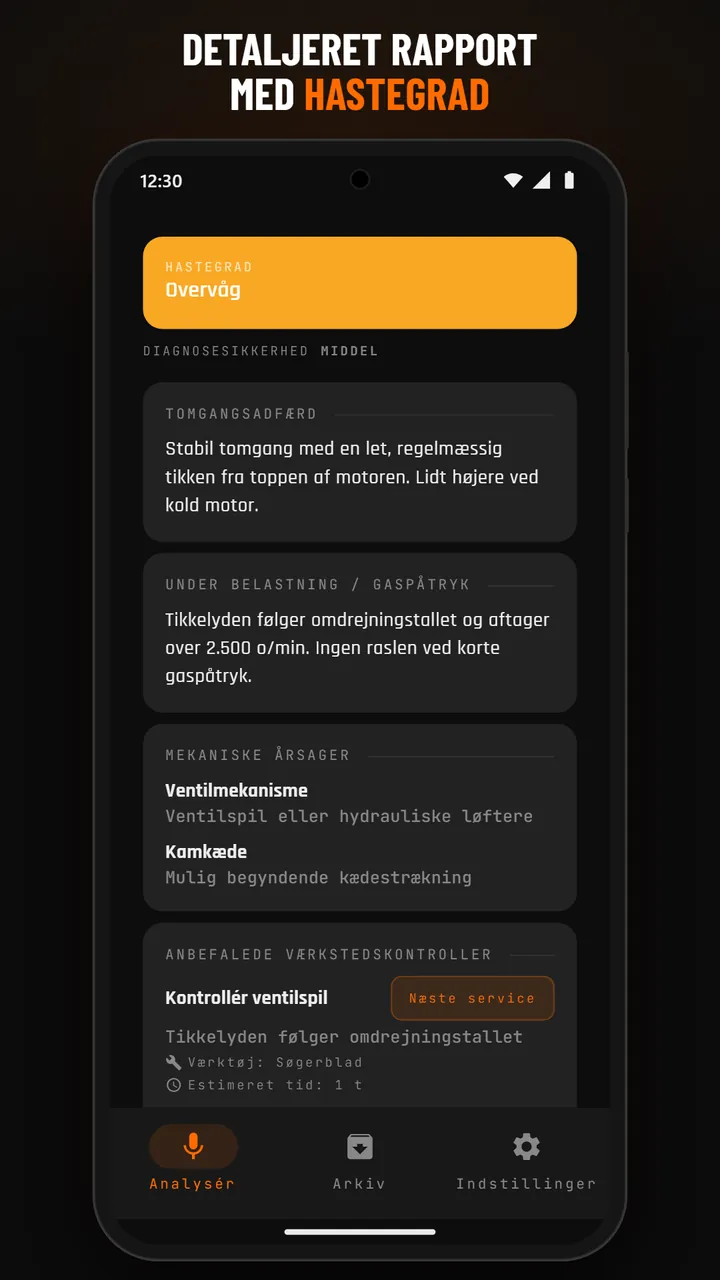 Analyseresultat