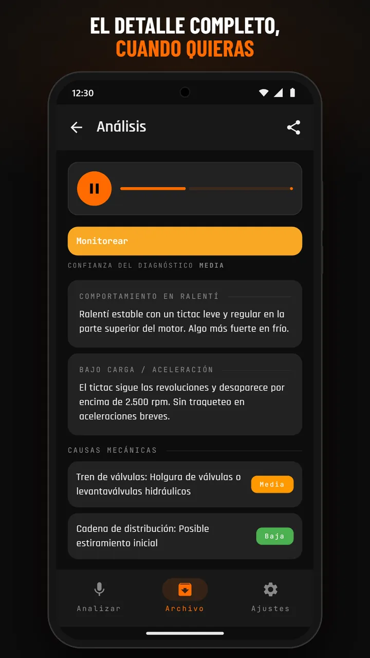 Detalle del archivo con audio
