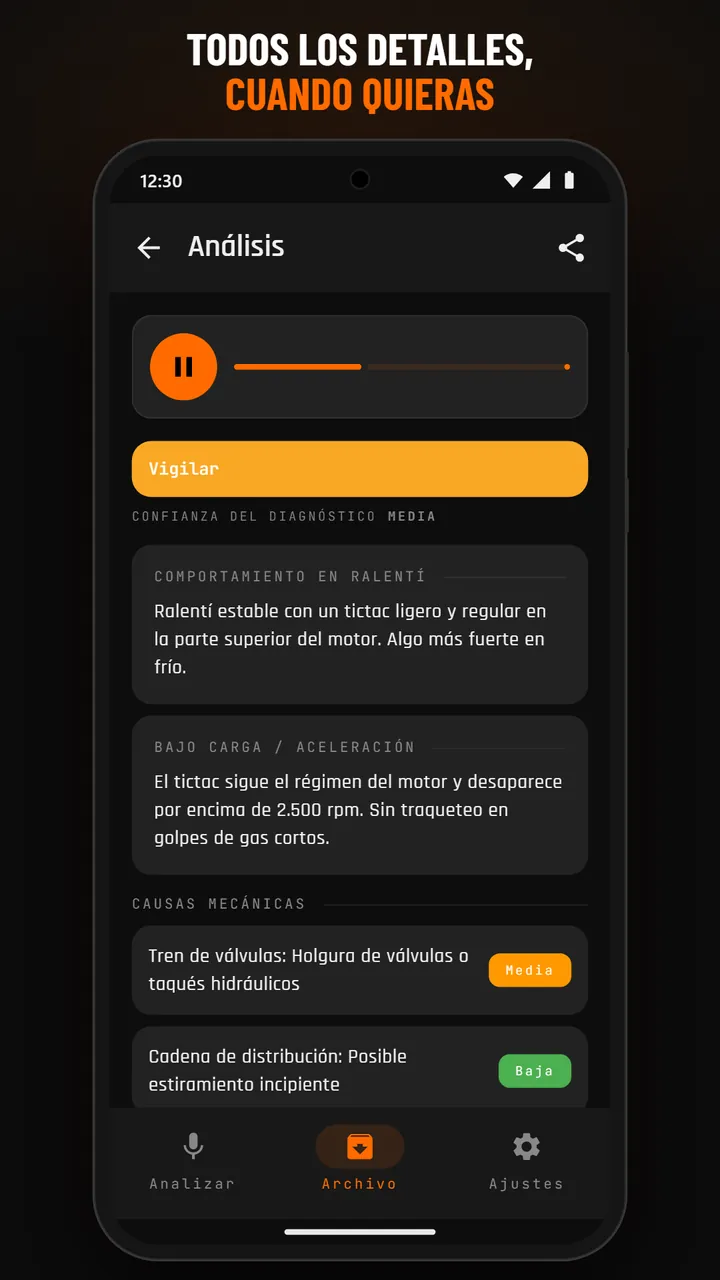 Detalle del archivo con audio