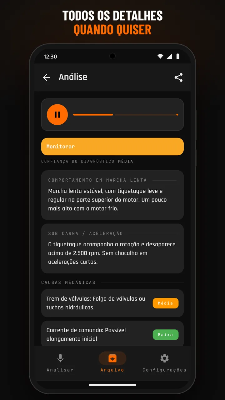 Detalhes de uma análise do Arquivo com áudio